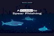 A Guide to Spear Phishing