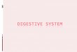 DIGESTIVE SYSTEM - KSU
