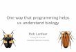 One way that programming helps us understand biology
