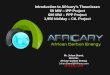 Introduction to Africary’s Theunissen 50 MW IPP Project 