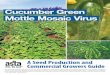 Cucumber Green Mottle Mosaic Virus
