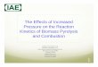 The Effects of Increased Pressure on the Reaction Kinetics 