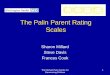 The Palin Parent Rating Scales
