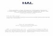 Calculability of the Semantics of English Nominal Compounds - HAL