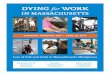 Dying for Work in Massachusetts, April, 2013.pdf