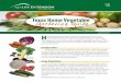Texas Home Vegetable Gardening Guide - Aggie Horticulture