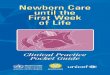 Newborn Care until the First Week of Life. Clinical Practice Pocket