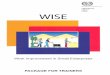 Work Improvement in Small Enterprises (WISE) - International