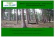 Bio-economy versus Biodiversity - Global Forest Coalition