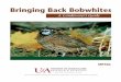 Bringing Back Bobwhites - A Landowner's Guide - MP506