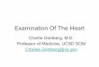 Examination Of The Heart - Division of Medical Education, School of
