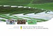 Food and Agriculture: The future of sustainability - United Nations