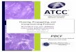 SOP: Thawing, Propagation and Cryopreservation of NCI-PBCF