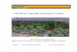 Off-Season Vegetable Farming in Tunnels Agriculture Finance