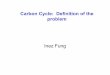 Carbon Cycle: Definition of the problem