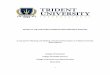 GUIDE TO THE DOCTORAL DISSERTATION - Trident University