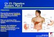 Chapter 23 - Digestive System, Part 2
