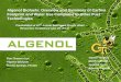 Algae-Based Biofuels: Algenol's DIRECT TO ETHANOL - AWRA