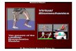 Virtual Biomechanics - Human Motion Simulation - MSC Software
