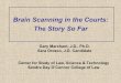 Brain Scanning In The Courts - College of Law
