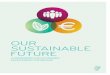 A Framework for Sustainable Development in Ireland