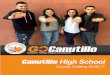 Canutillo High School