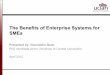 The Benefits of Enterprise Systems for SMEs -