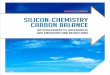 Silicon-chemiStry carbon balance - Wacker Chemie AG - Annual