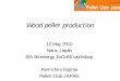 ExCo65 P4 Wood Pellet Production â€“ Mr K. Kojima - IEA Bioenergy