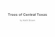 Keith Brown - Trees of Central Texas - TreeFolks