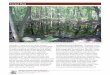 Vernal Pool, Page 1 - Michigan Natural Features Inventory