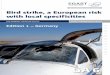 Bird strike, a European risk with local specif icities