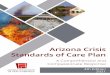 Arizona Crisis Standards of Care Plan