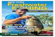 Striped bass fishing guide pamphlet - New York State Department of