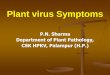 Lect. 3 plant virus Symptoms