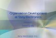 Organization Development at Sony Electronics