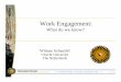 Work Engagement: - Organizational and Occupational Health