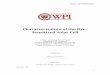 Characterization of the Dye- Sensitized Solar Cell - Worcester