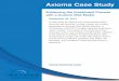 Enhancing the Investment Process with a Custom Risk Model - Axioma