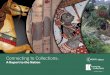 Connecting to Collections: - Institute of Museum and Library Services
