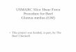 USMARC Slice Shear Force Procedure for Beef Gluteus medius (GM)
