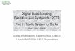 Digital Broadcasting Facilities and System for DTTB
