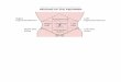 Abdomen: Surface Anatomy and Peritoneum