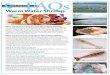 Warm Water Shrimp FAQs - Sea Port