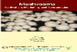 Mushrooms - Cultivation, Marketing and -