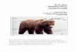 Brown Bear - Alaska Department of Fish and Game