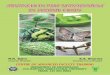 Advances in Pest Management in Legume Crops - CCS HAU, Hisar