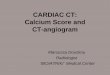 calcium scoring ct angiography ct angiography of coronaries