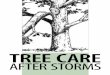 Tree Care After Storms - Kansas Forest Service