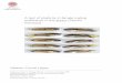 A test of plasticity in female mating preference in the guppy ( Poecilia